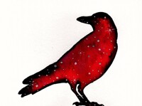 Galaxy Raven