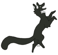 Crow Mini I