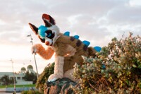 Crawlin' in yo' garden