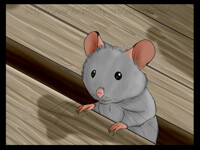 Under a Squeaky Floorboard