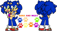 Sora and Nicky Reference Guide