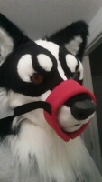 Muzzle