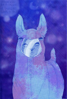Llamas in Space