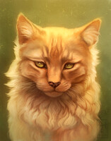 Portrait, in Disapproval (3h)