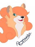 Introducing, Bruint!