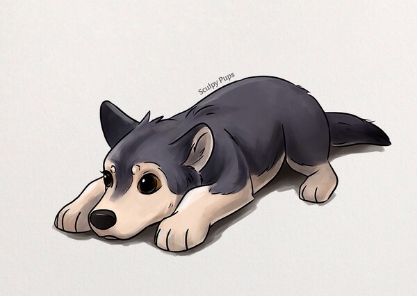 sad wolf pup drawing