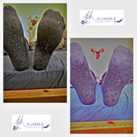 unicorn and norwey slipper paw 1