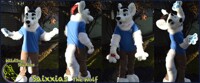 Sai the Wolf
