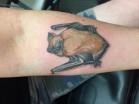 Bat Tattoo!!!