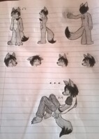 Kaos M. Ref - Do I even paw?
