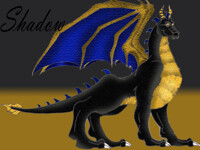 Gang of Five - Shadow 