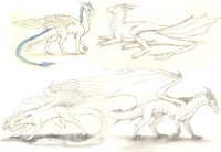 2016.04 skethes commisions