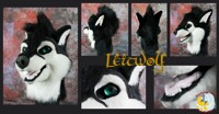 Leitwolf Head collage  [COMM]