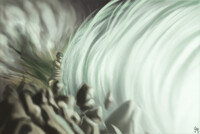 Breath of Boreas (IF - Tornado)