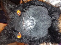 Fursuit Head