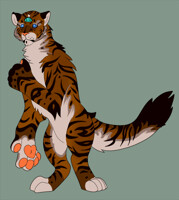 tiger bab