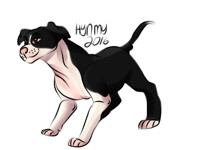 Micro Pre-Shaded American Pitbull Terrier Base