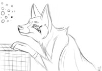 Dreams WIP