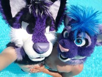 Summertime swim with Razzle and Nip