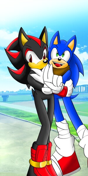 SONADOW: The Pirate and His Captain by sonicremix -- Fur Affinity