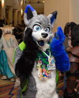Megaplex 2015 - Unknown Fur