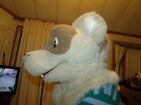 Ferret fursuit head