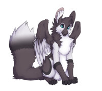 It's so FLUUFFFYYYY