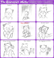 Expreshun meme