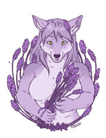 Sketch Stream: Lavender