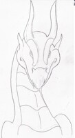 Dragon head study (front view)