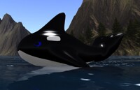 Orca Pod Progress