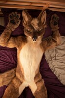 I forgot to mention.