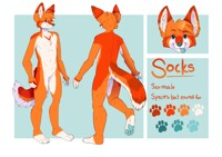 Socks Anthro Ref Sheet