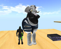 Elephant and Dragon body size comparison