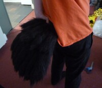 Raven Tail 2
