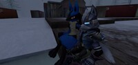 lucario and wolf