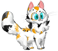 fluffy kitty
