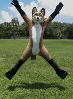 Jump The Fox 5 / 5