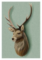 P - Red Deer Portrait