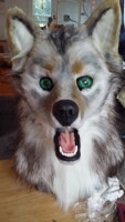 Coywolf: Finishing Touches 1