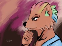 Dog - fox
