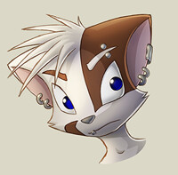 Punk Mace (Exercise )