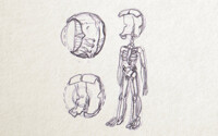 Bones