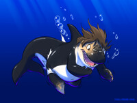 Orca transformation