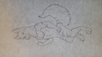 Sketched by Ace