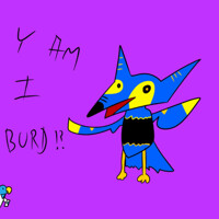 I r burd