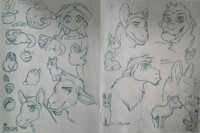 2015/16  wooly woolly refill dump 2