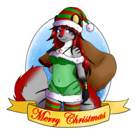 Sexy Santa