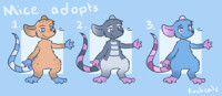 Mice adoptables