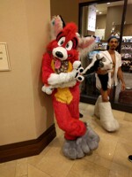Orlando Chill Waiting for the elevator